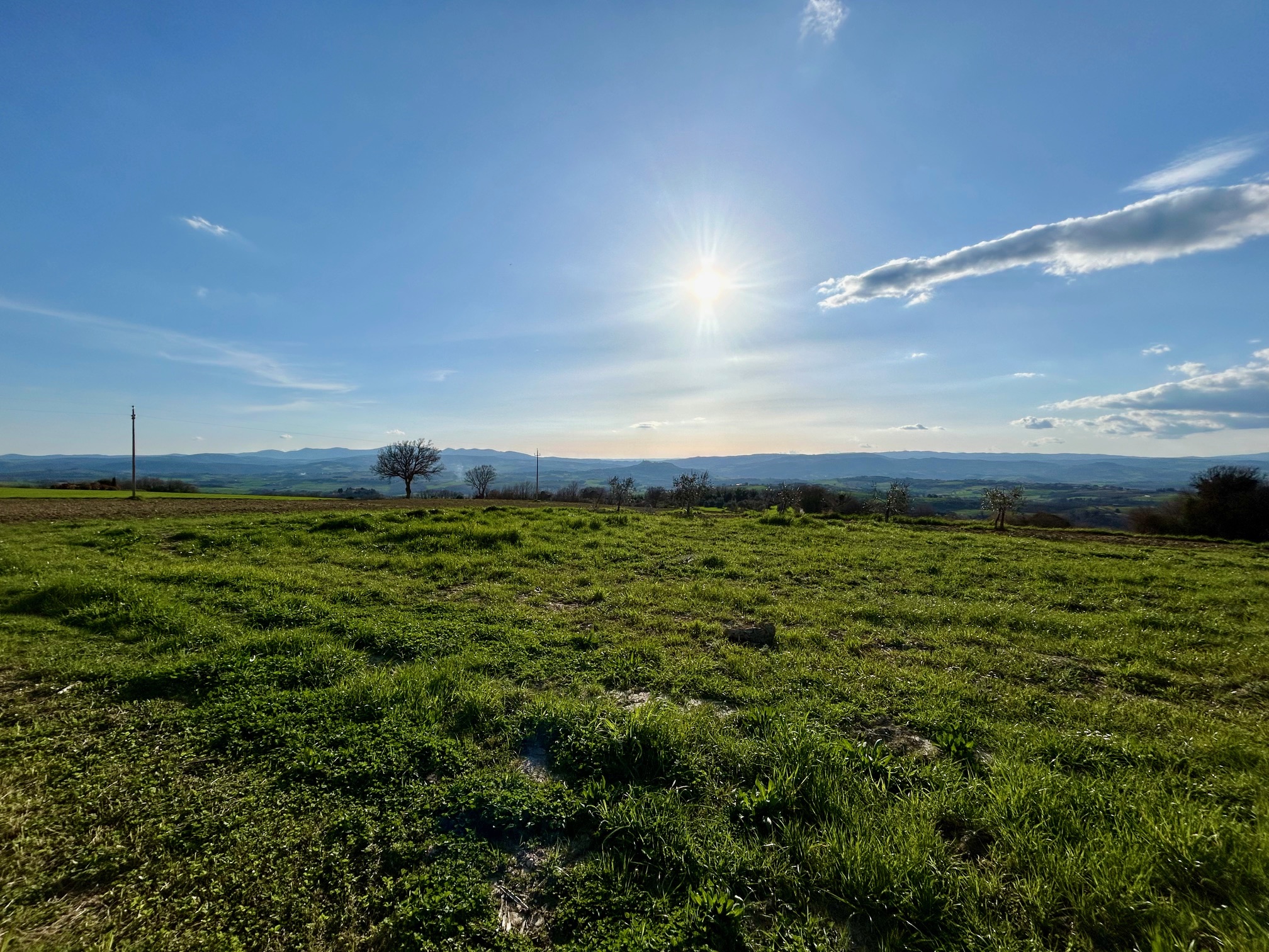 Terreno Edificabile a Todi