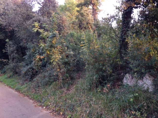 Terreno Edificabile a Narni