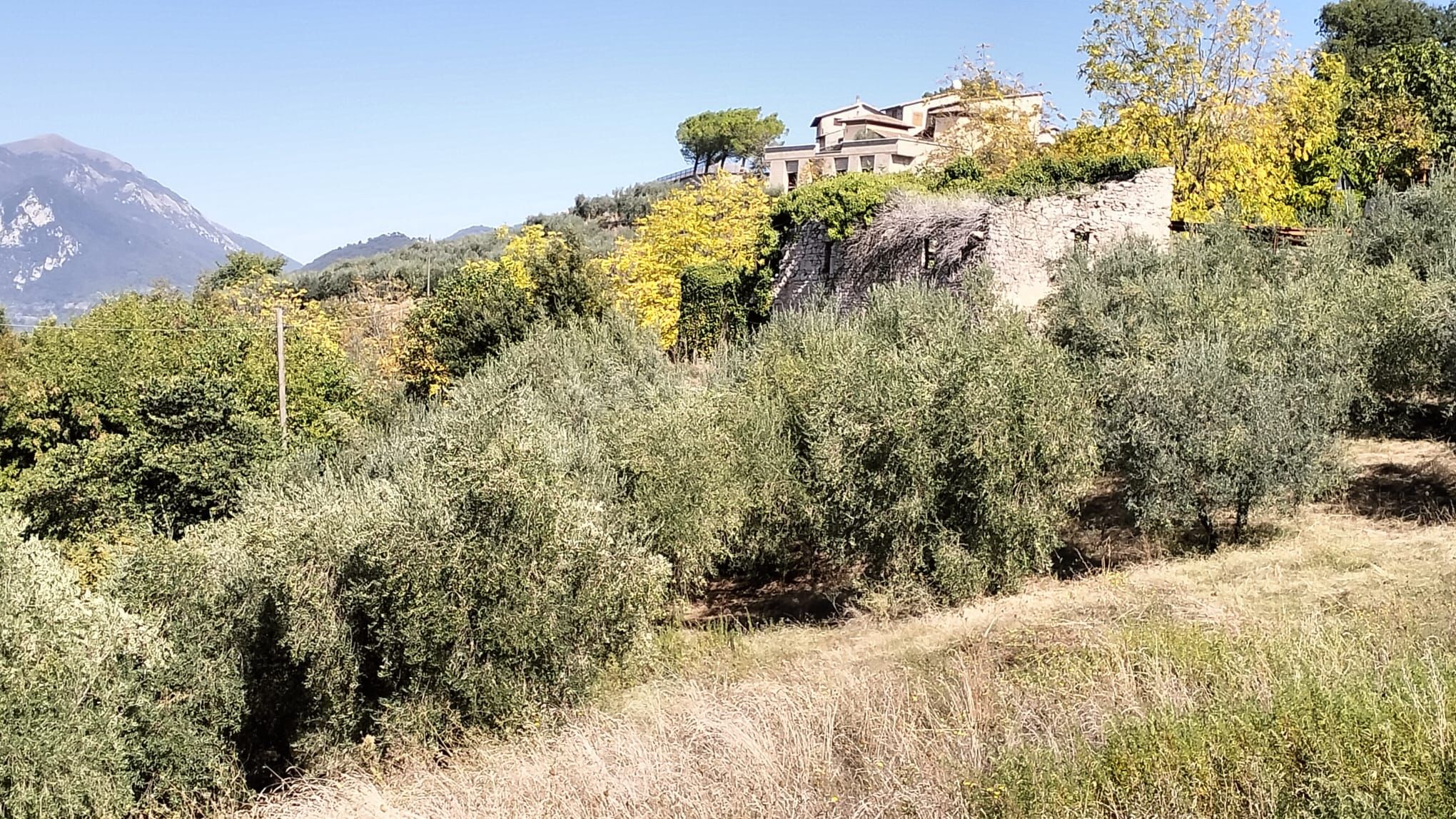 Rudere a Arrone