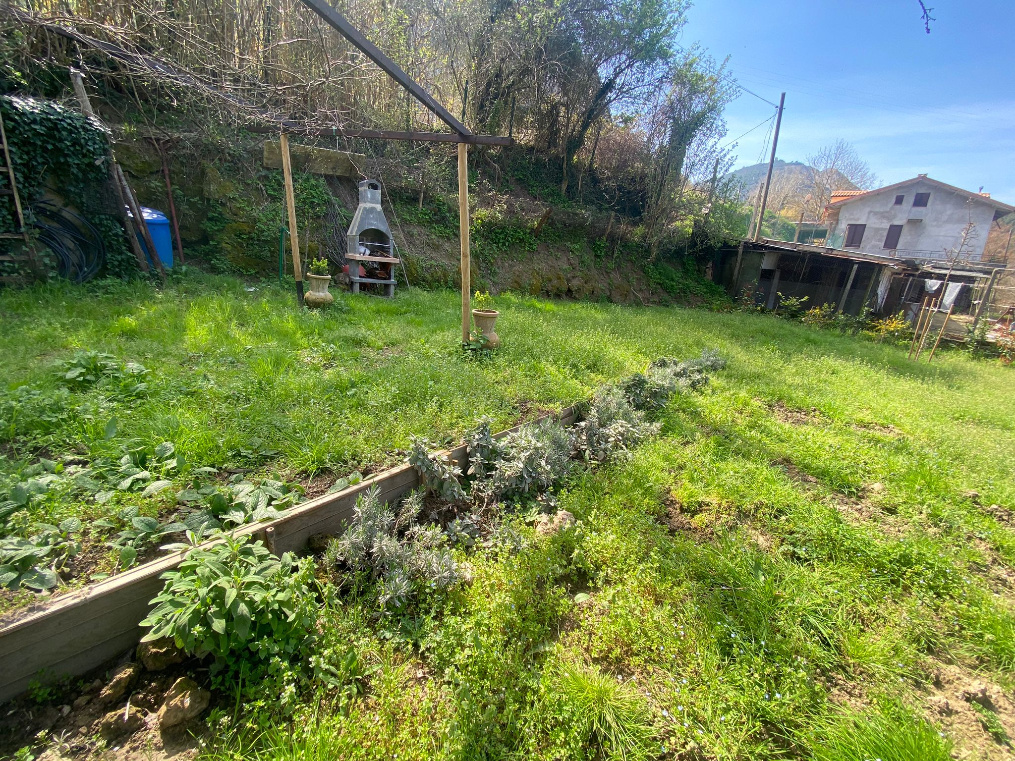 Terreno Agricolo a Terni
