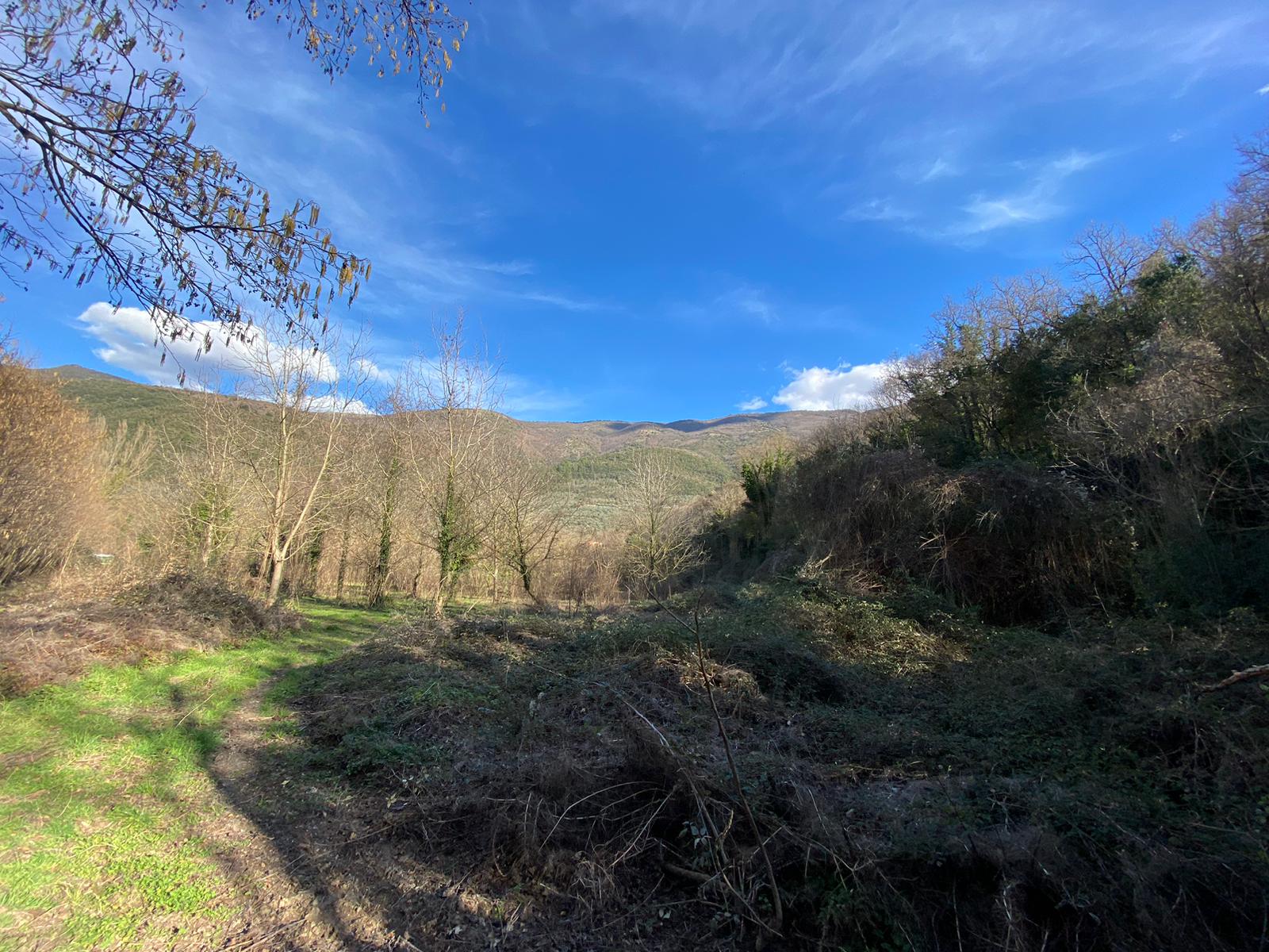 Terreno Agricolo a Ferentillo