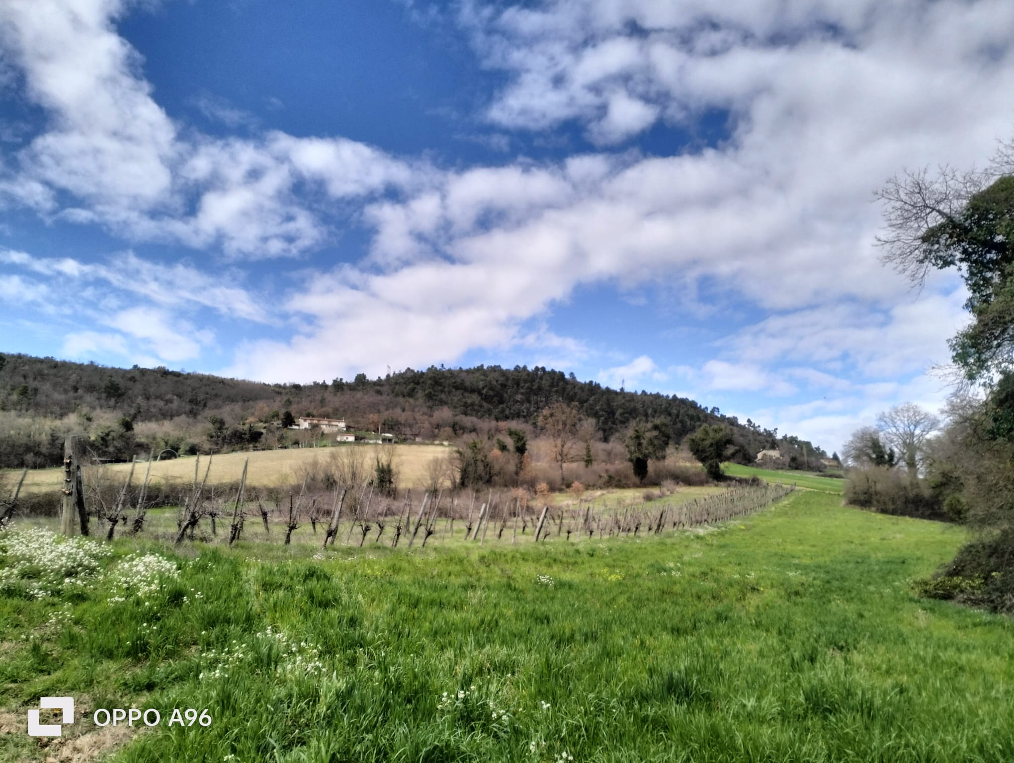 Terreno Agricolo a Arrone
