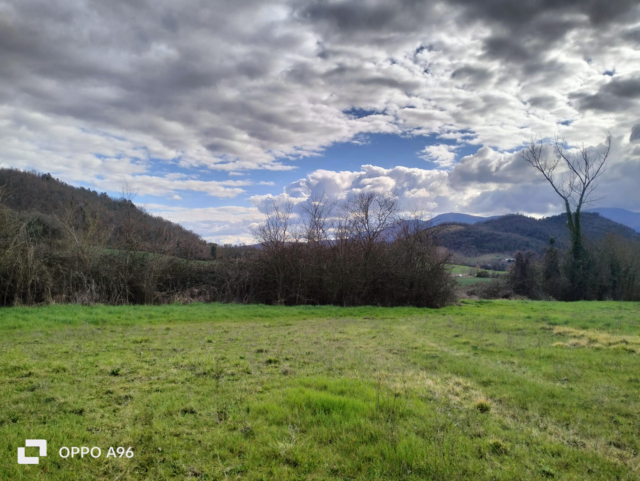 Terreno Agricolo a Arrone