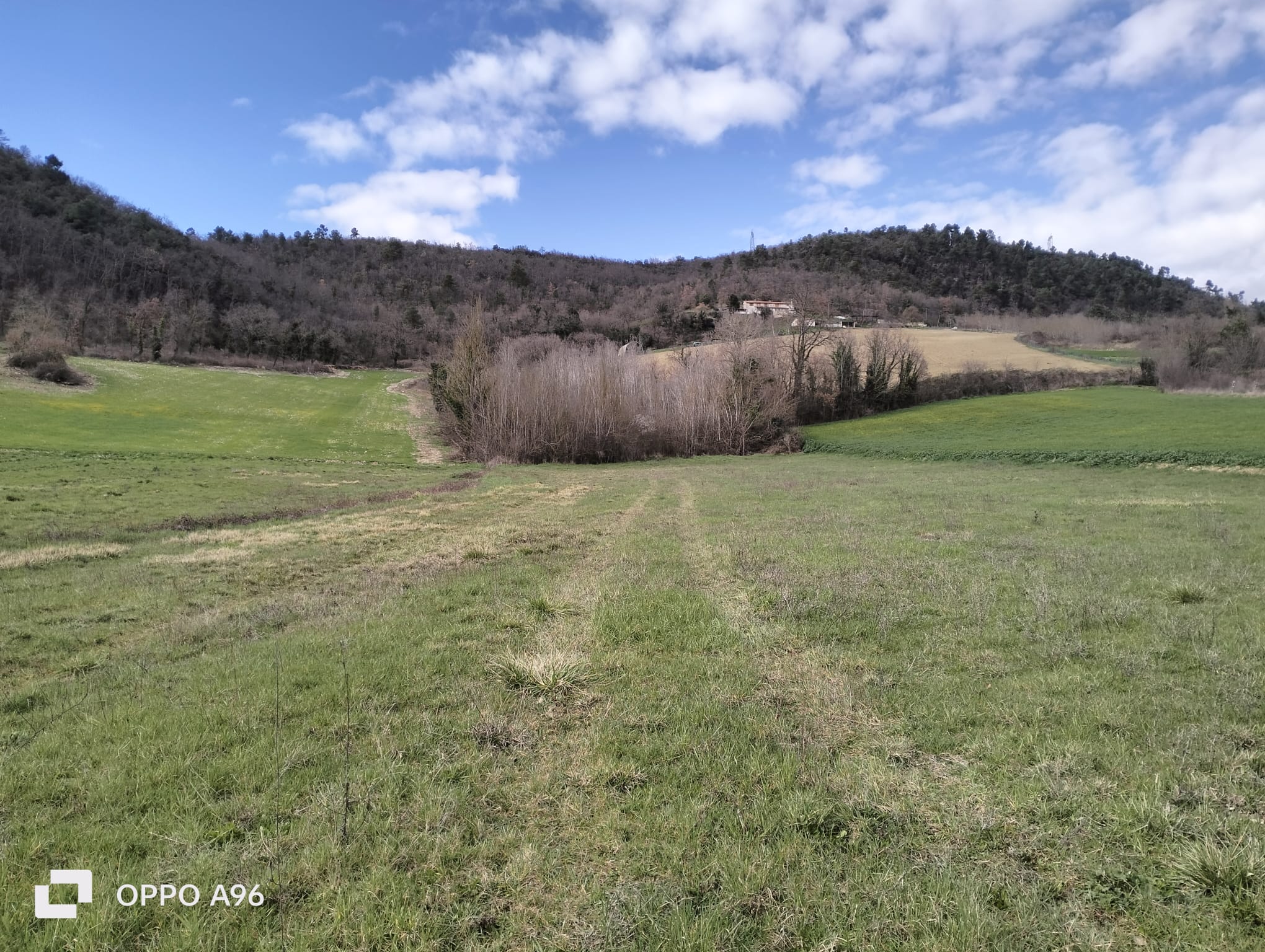 Terreno Agricolo a Arrone
