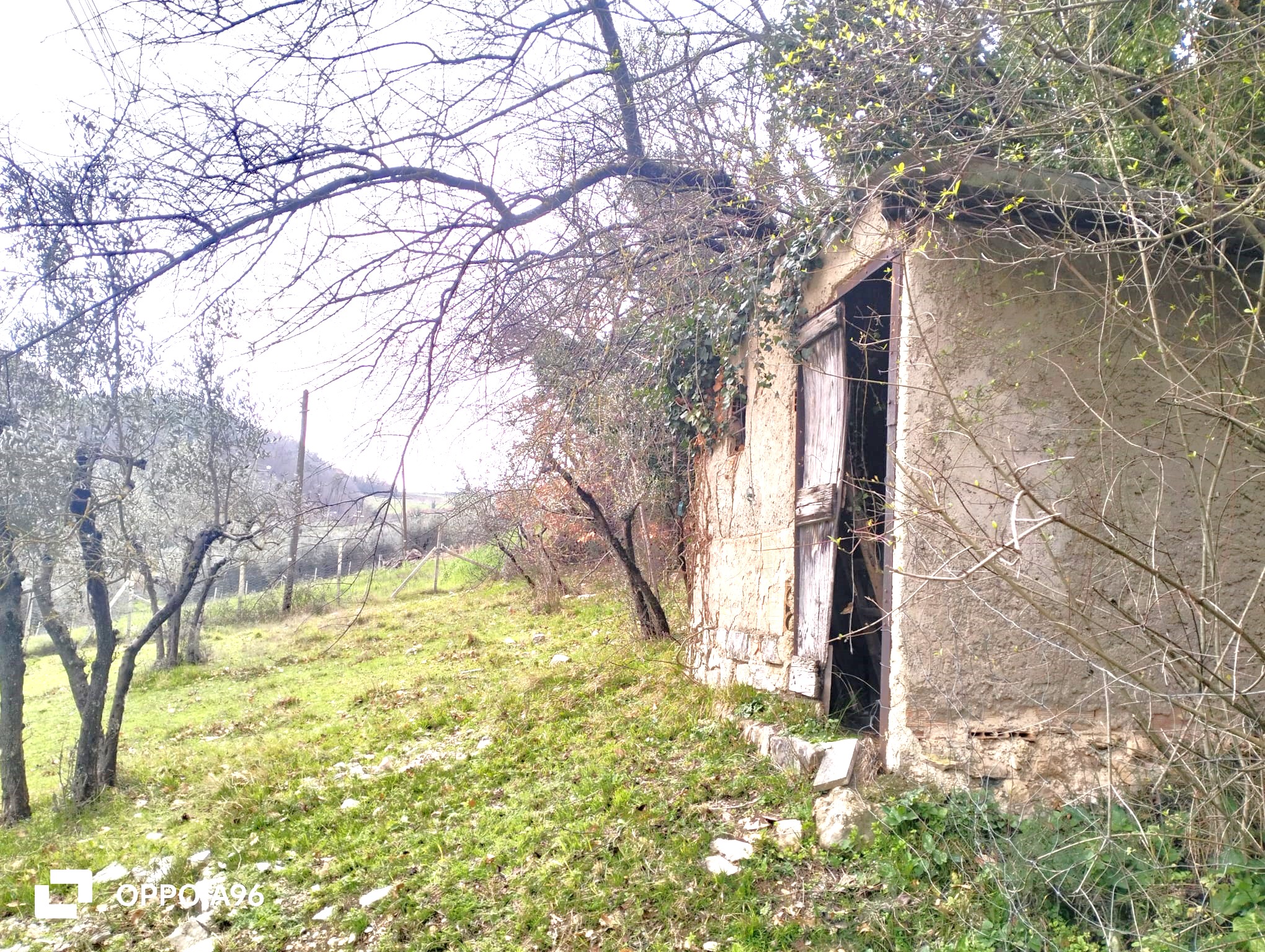 Terreno Agricolo con Annesso a Arrone