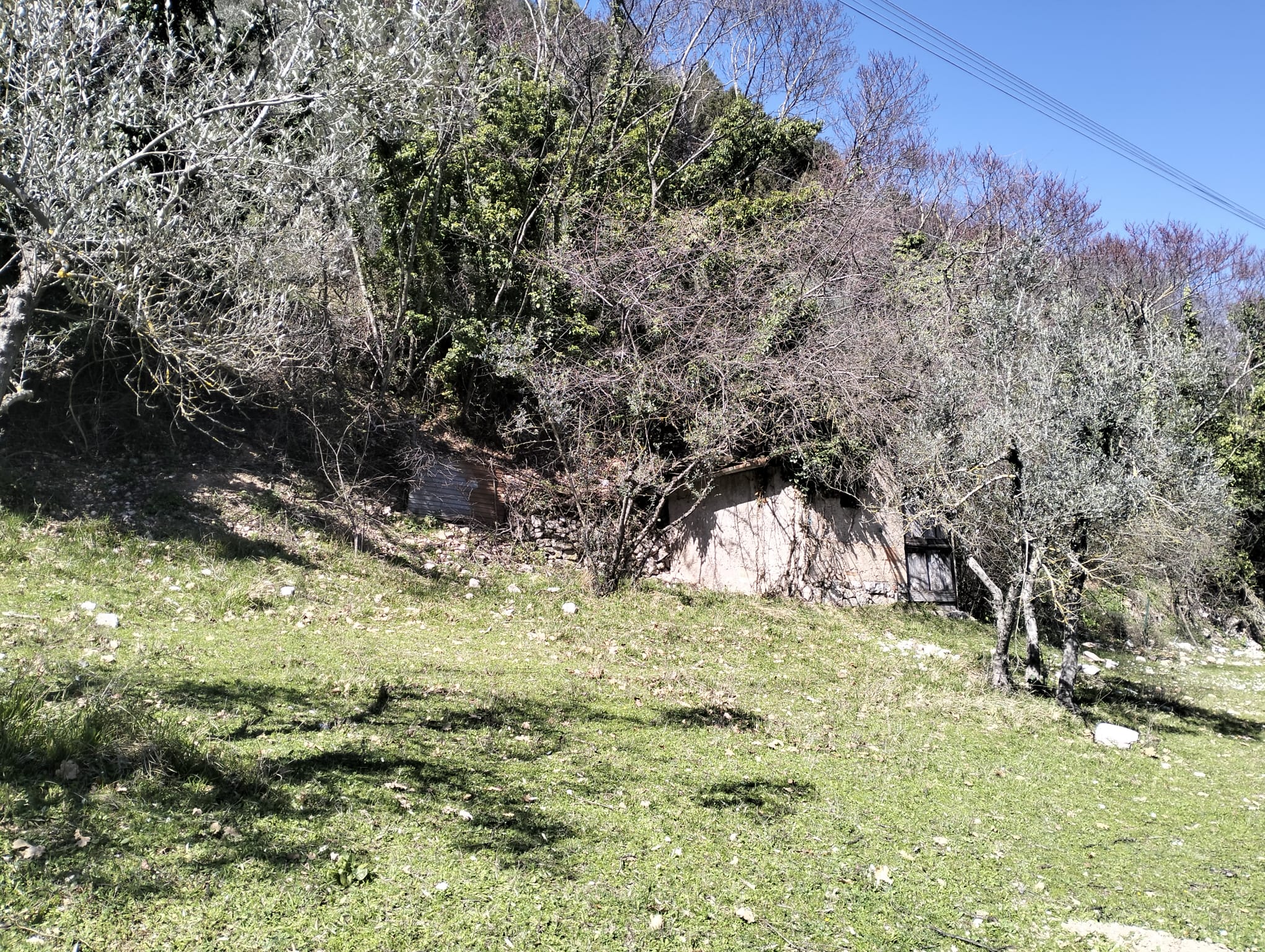 Terreno Agricolo con Annesso a Arrone