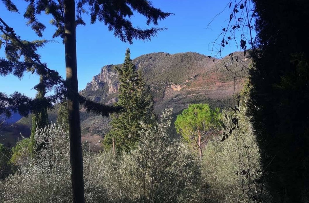 Casa Indipendente a Ferentillo