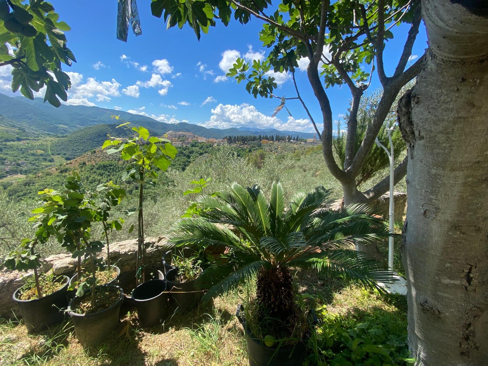 Casa Indipendente a Montefranco