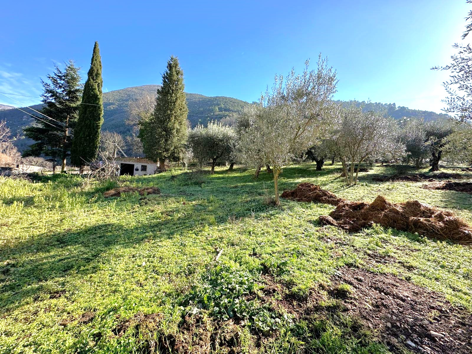 Terreno Edificabile a Ferentillo