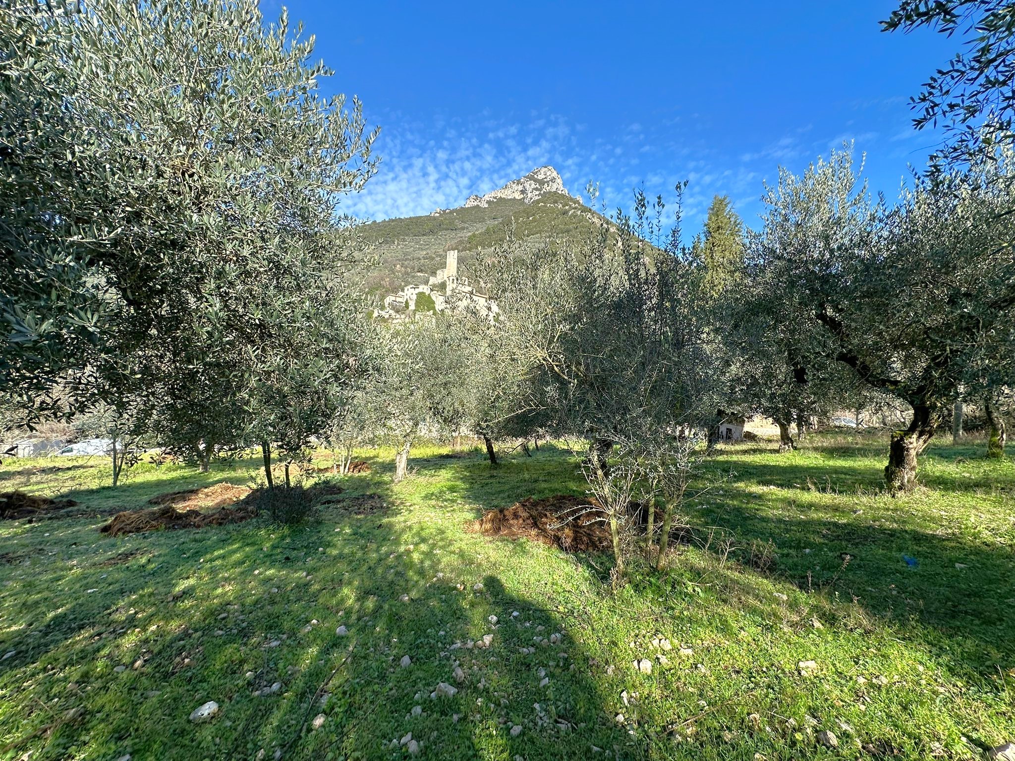 Terreno Edificabile a Ferentillo
