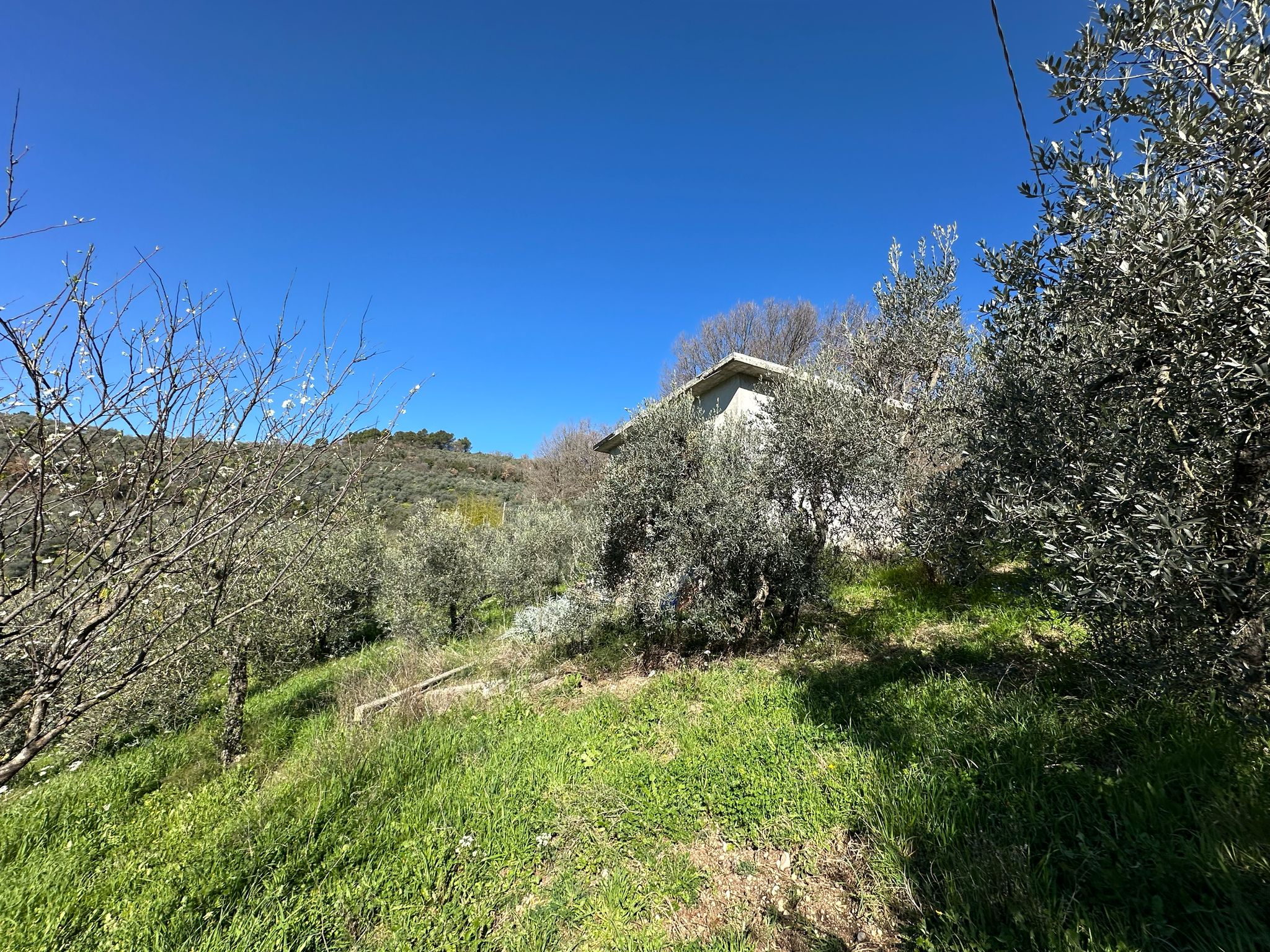 Terreno Agricolo con Annesso a Terni