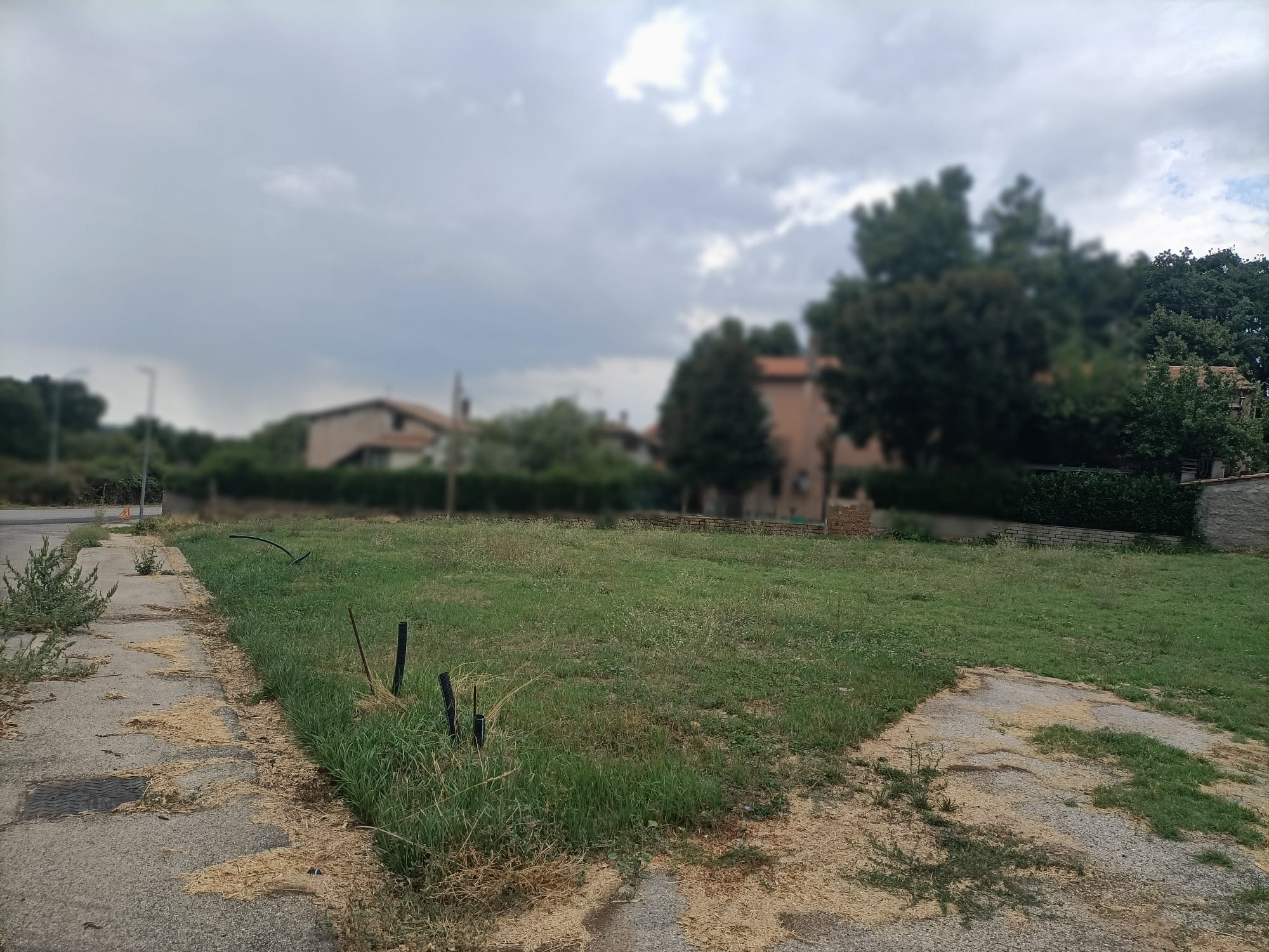 Terreno Edificabile a Vetralla