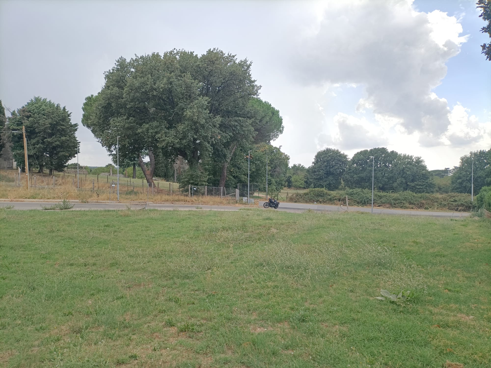 Terreno Edificabile a Vetralla