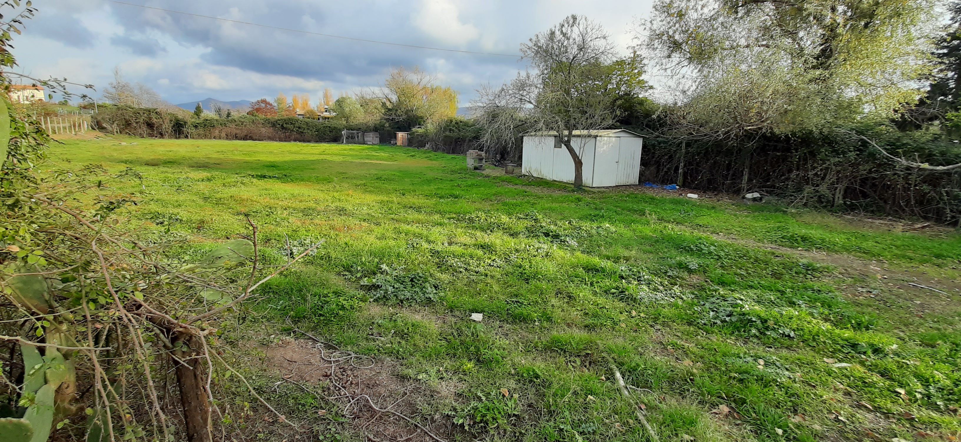 Terreno Agricolo a Viterbo