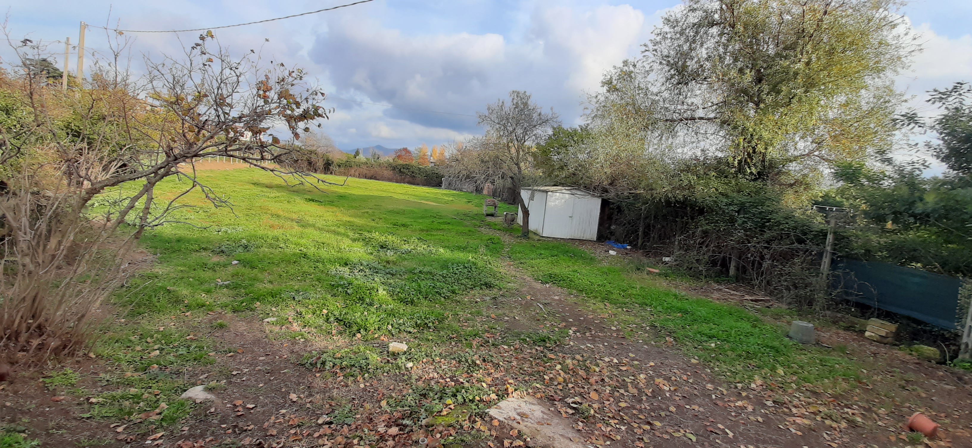 Terreno Agricolo a Viterbo