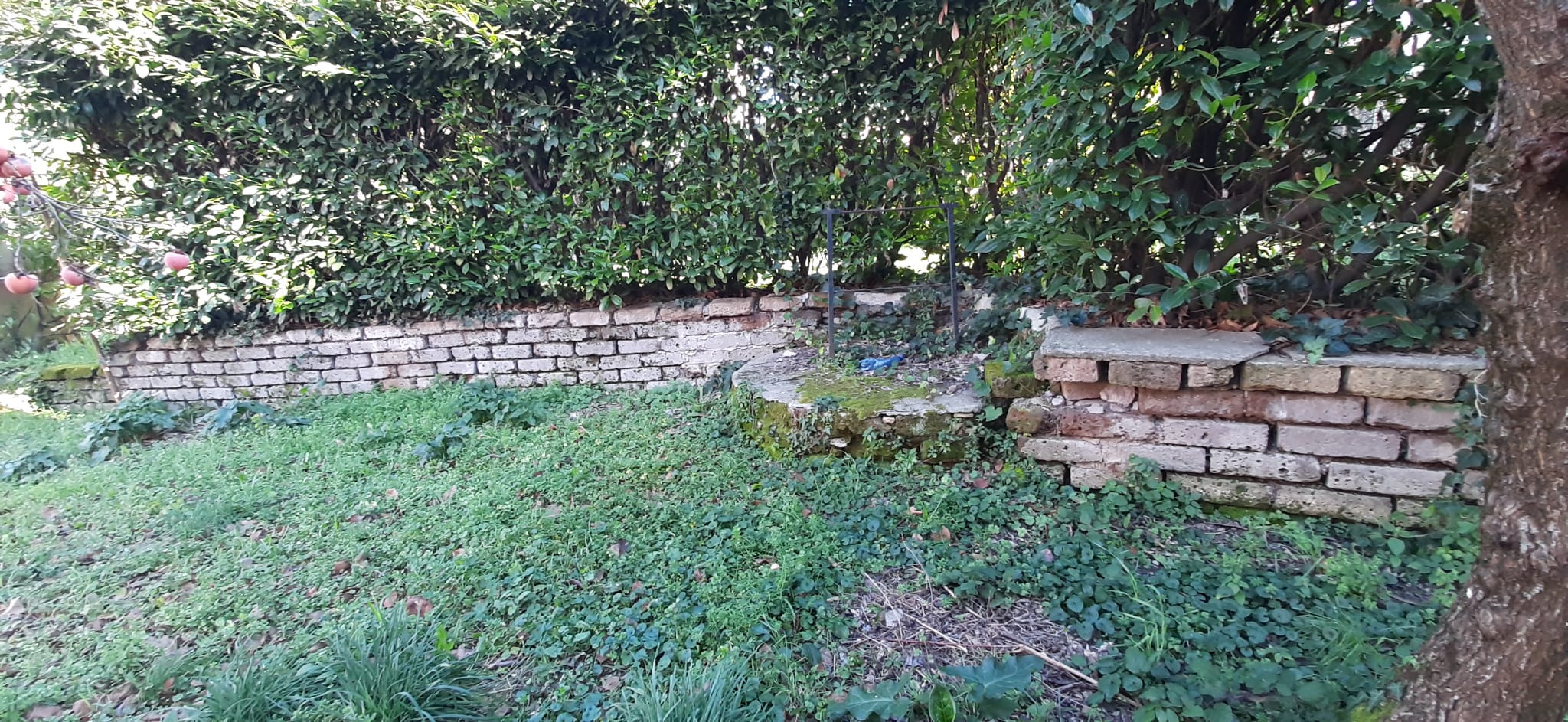 Terreno Edificabile a Viterbo