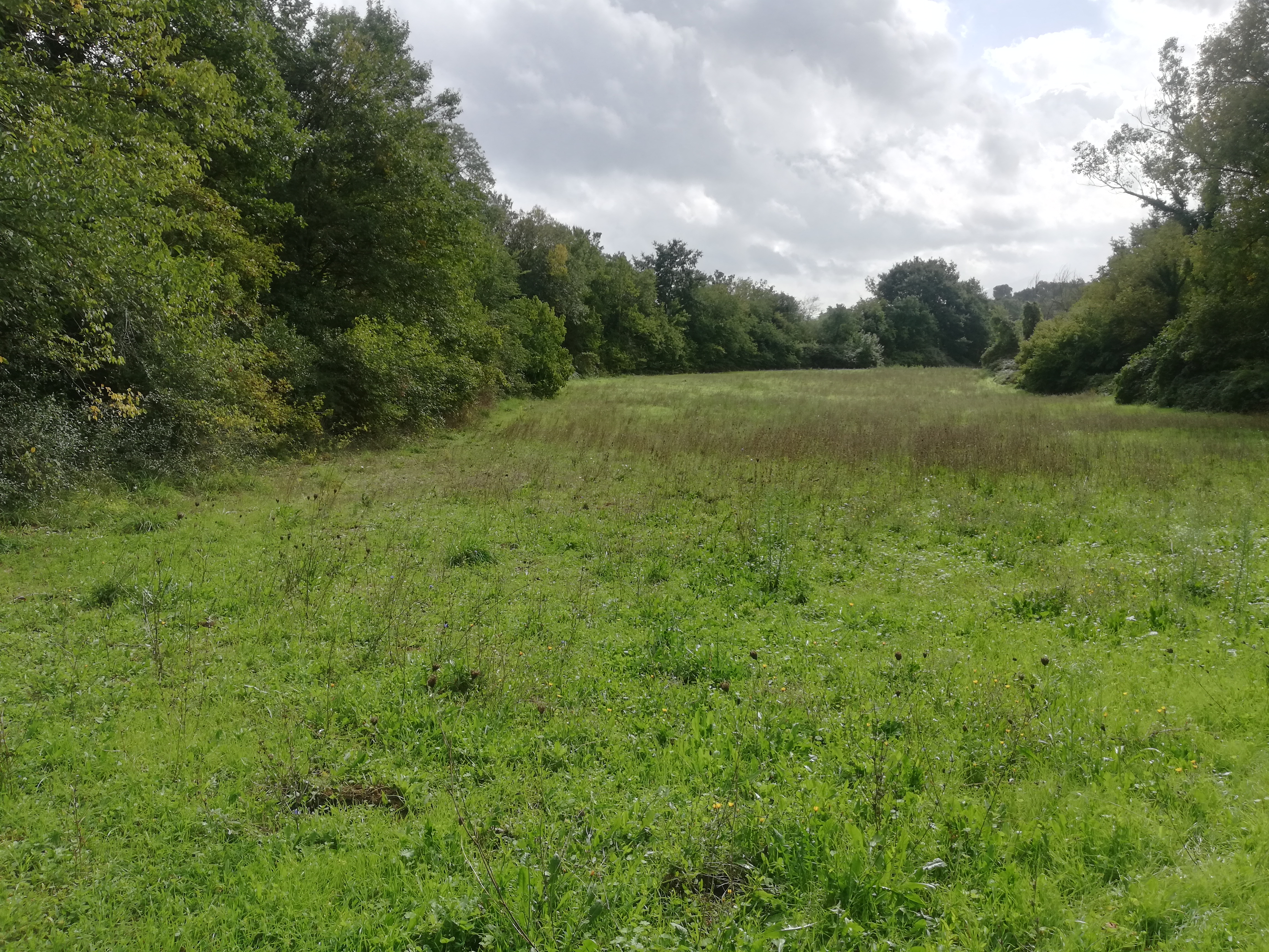 Terreno Agricolo a Montefiascone