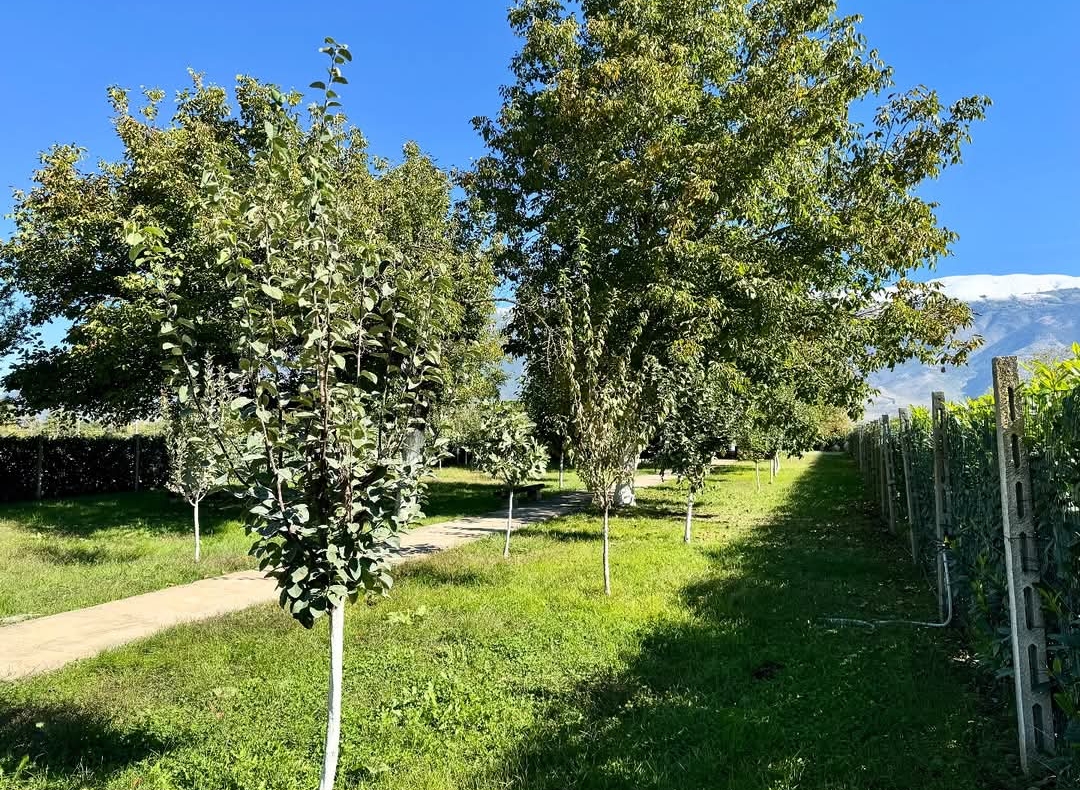 Terreno Agricolo con Annesso a Pratola Peligna