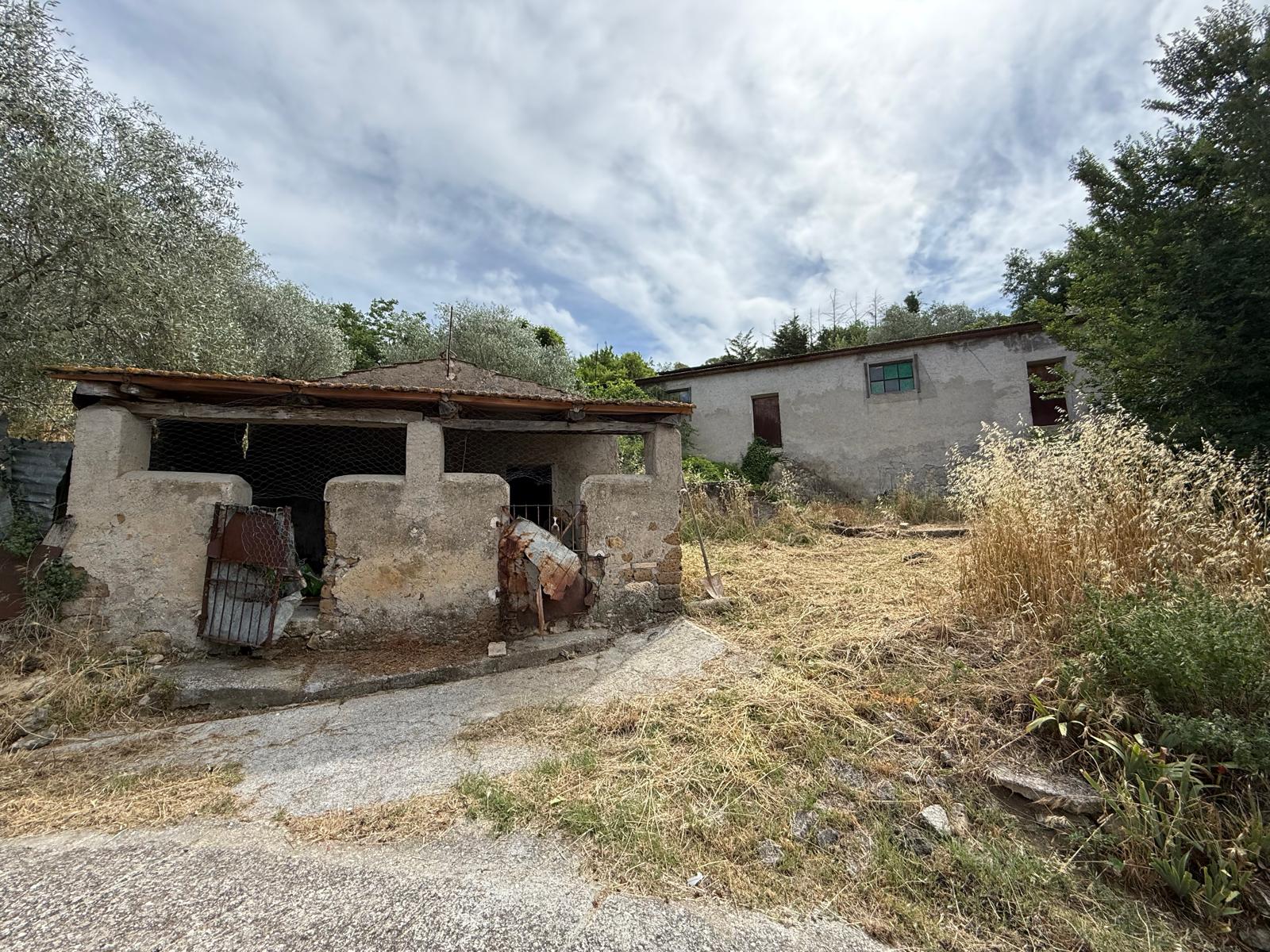 Capannone Agricolo a Narni