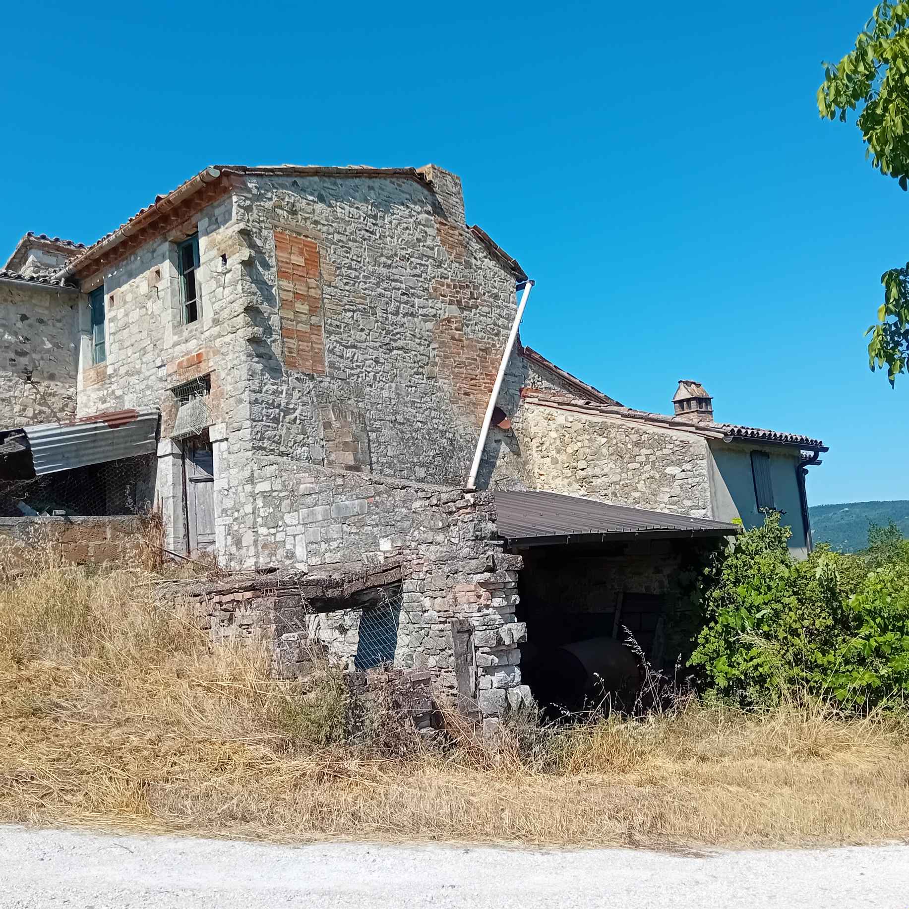 Tenute e Aziende Agricole a Todi