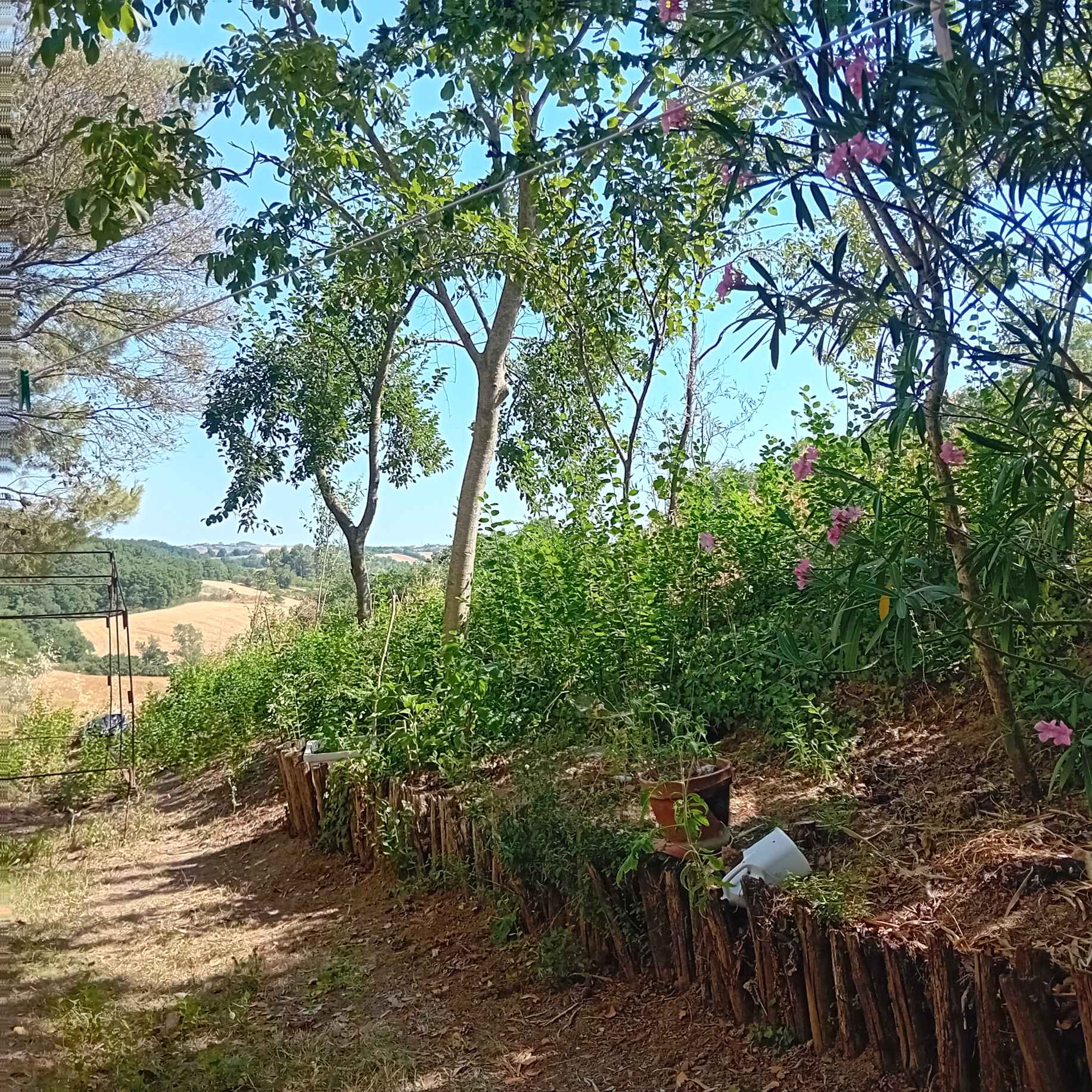 Terreno Agricolo con Annesso a Todi