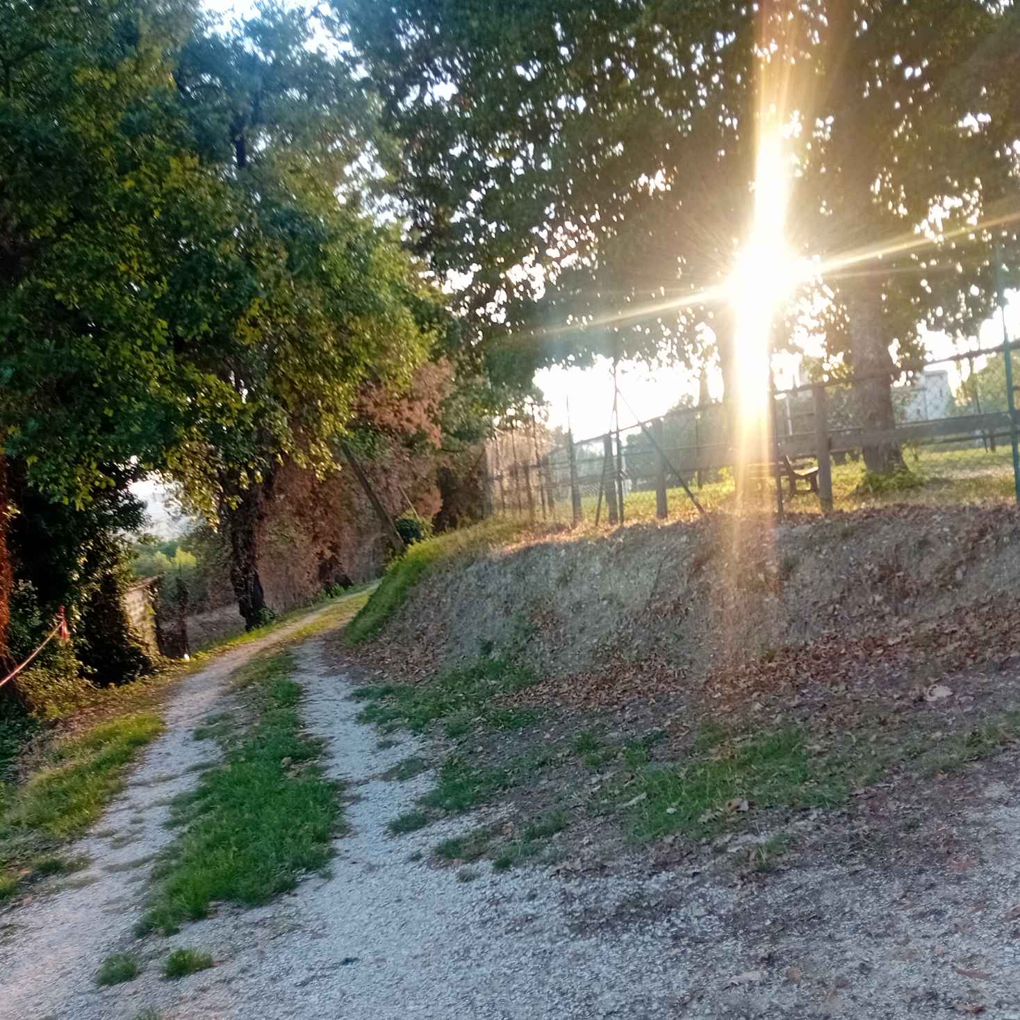 Terreno Edificabile a Massa Martana