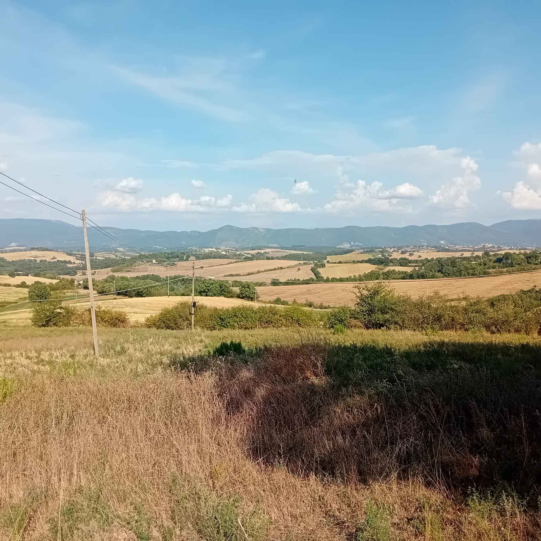 Terreno Edificabile a Avigliano Umbro