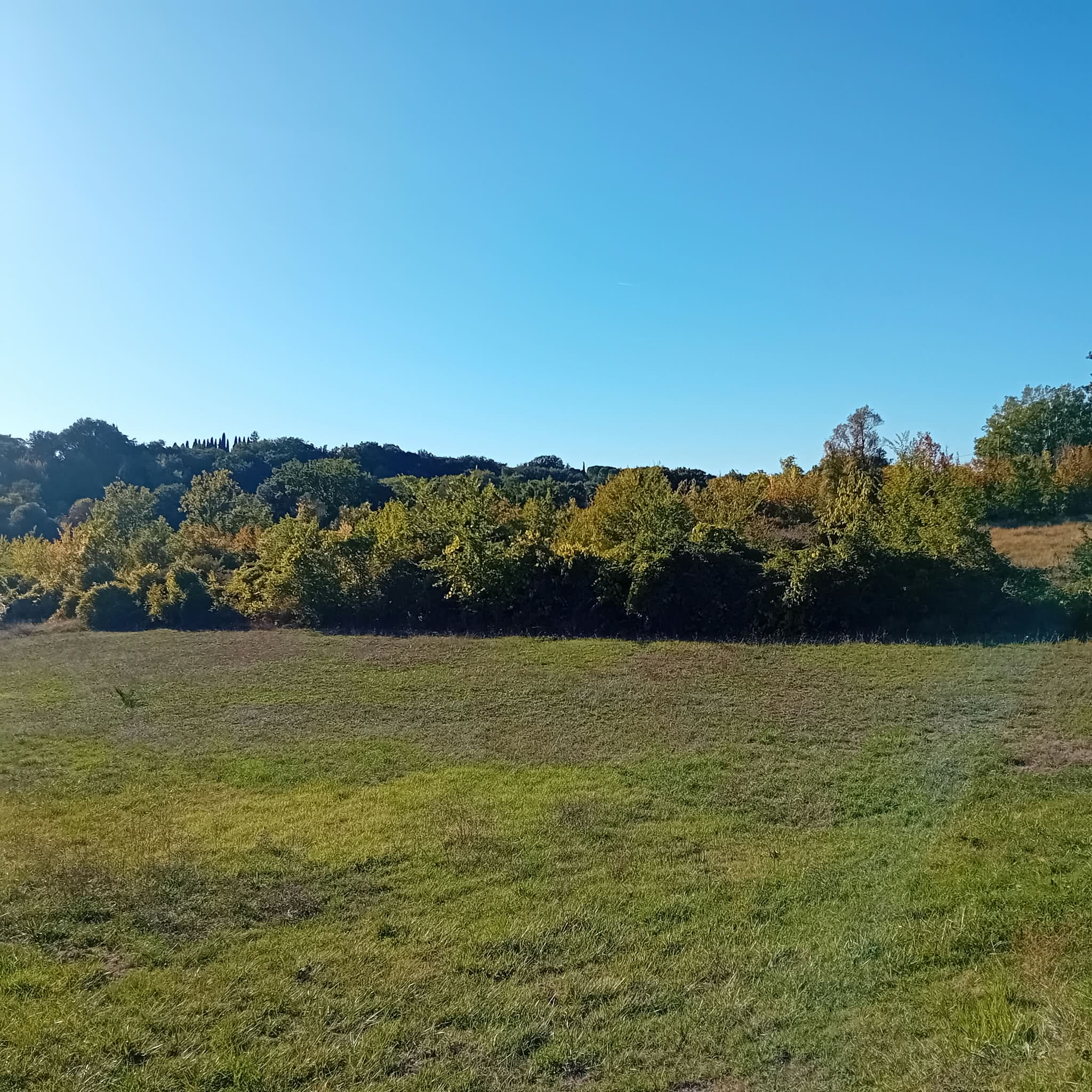Building land in Massa Martana