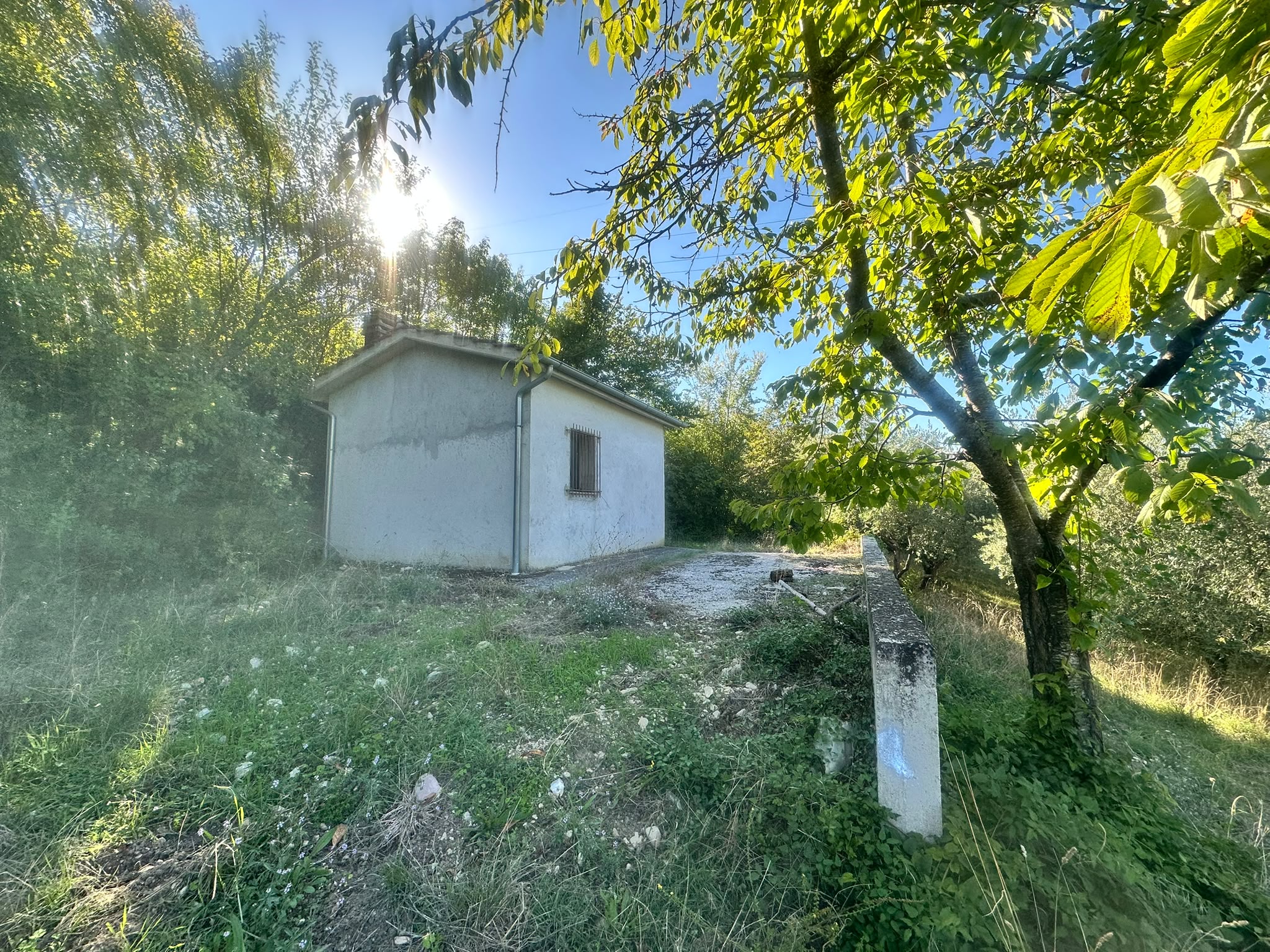 Terreno Agricolo con Annesso a Terni