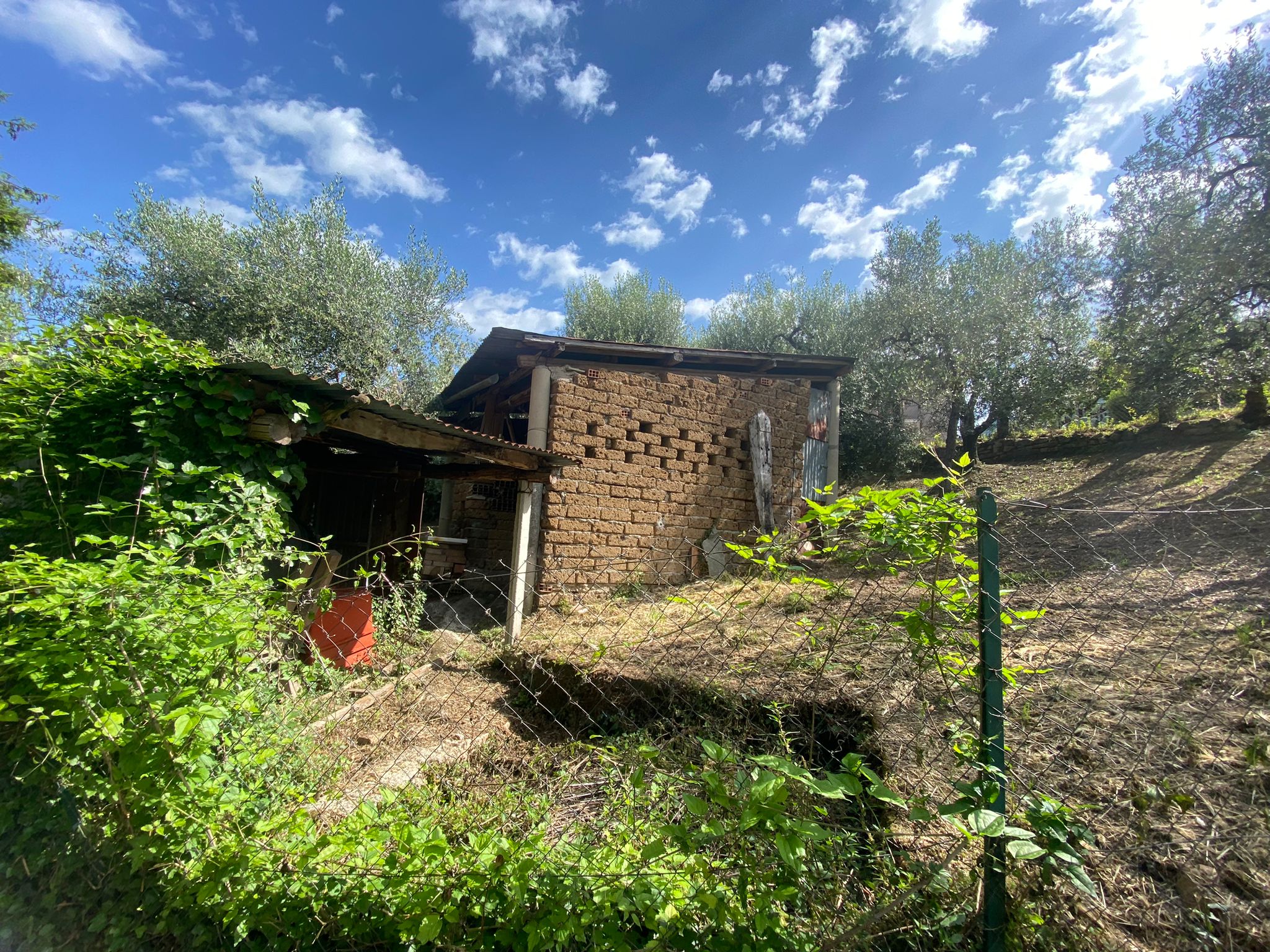 Terreno Agricolo con Annesso a Arrone