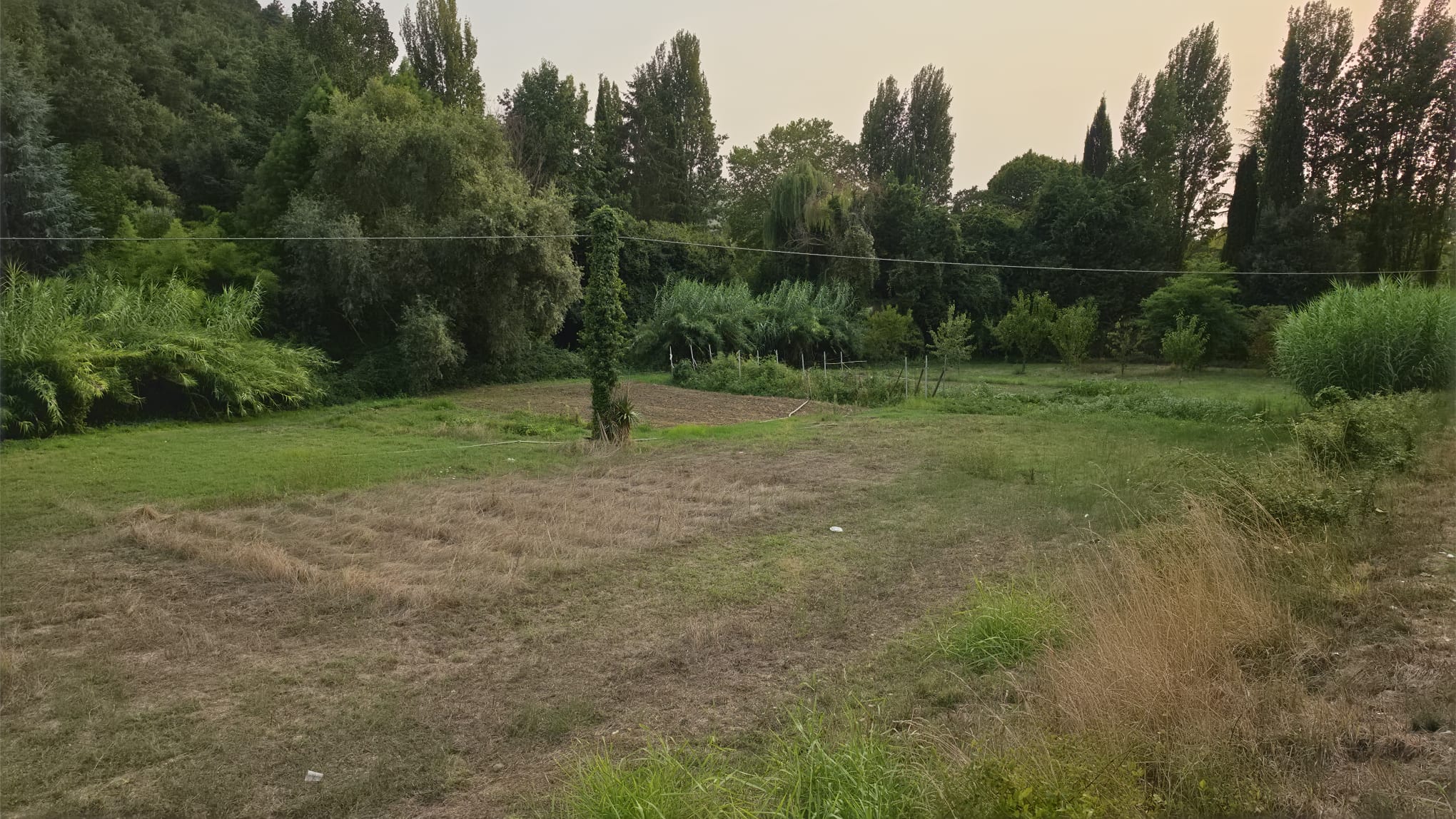 Terreno Agricolo a Montefiascone