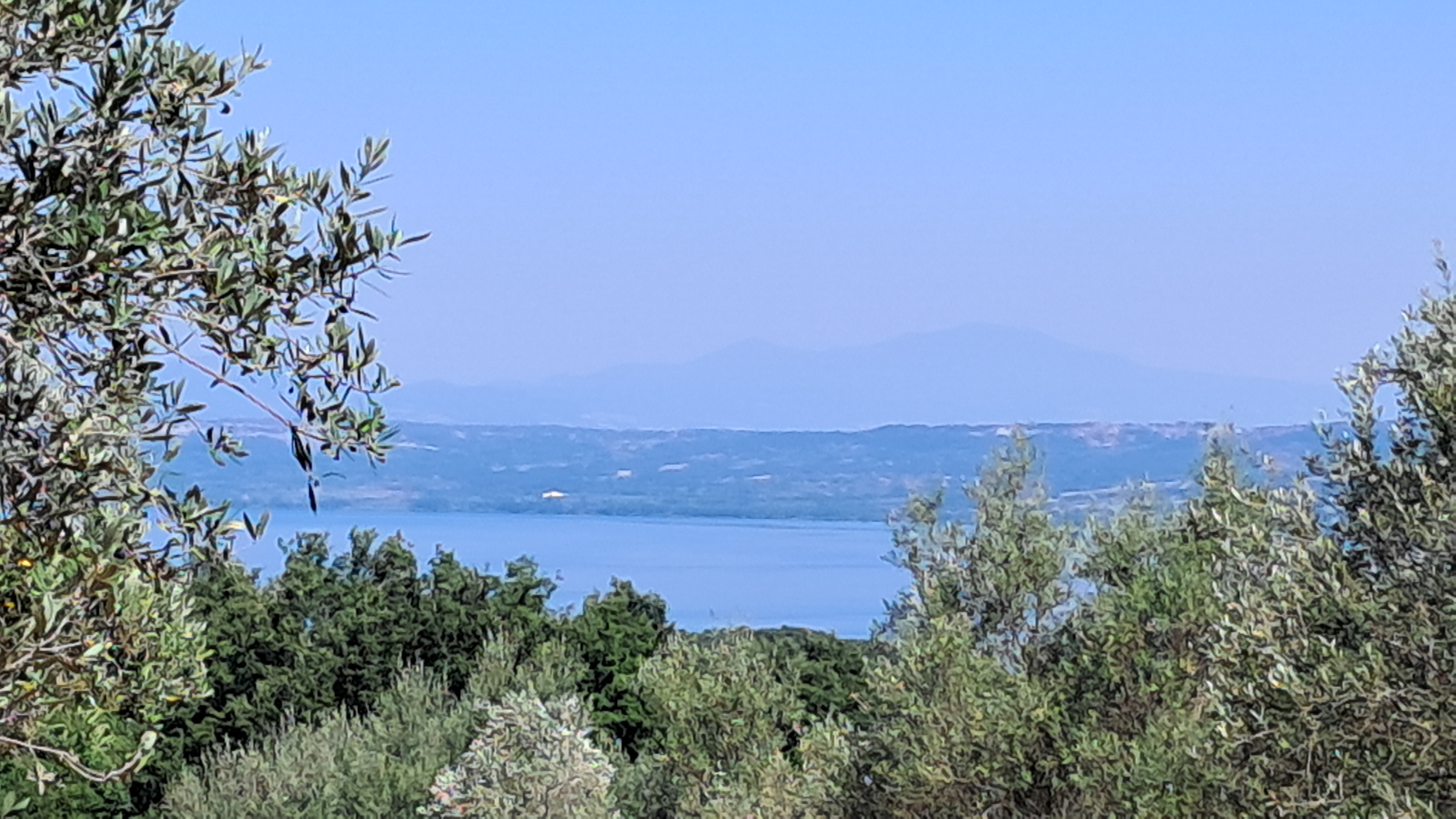 Terreno Agricolo con Annesso a Montefiascone