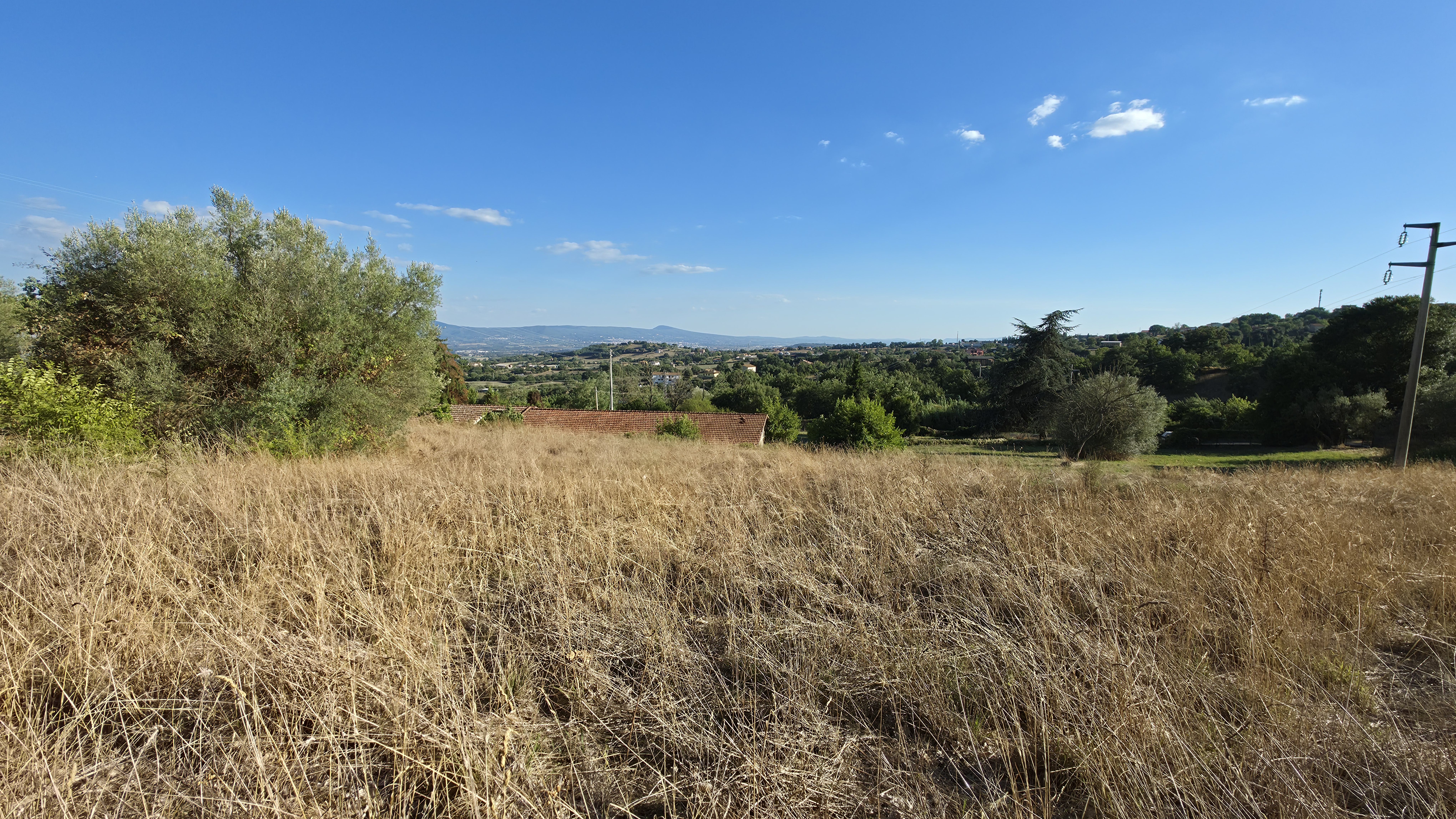 Terreno Edificabile a Montefiascone
