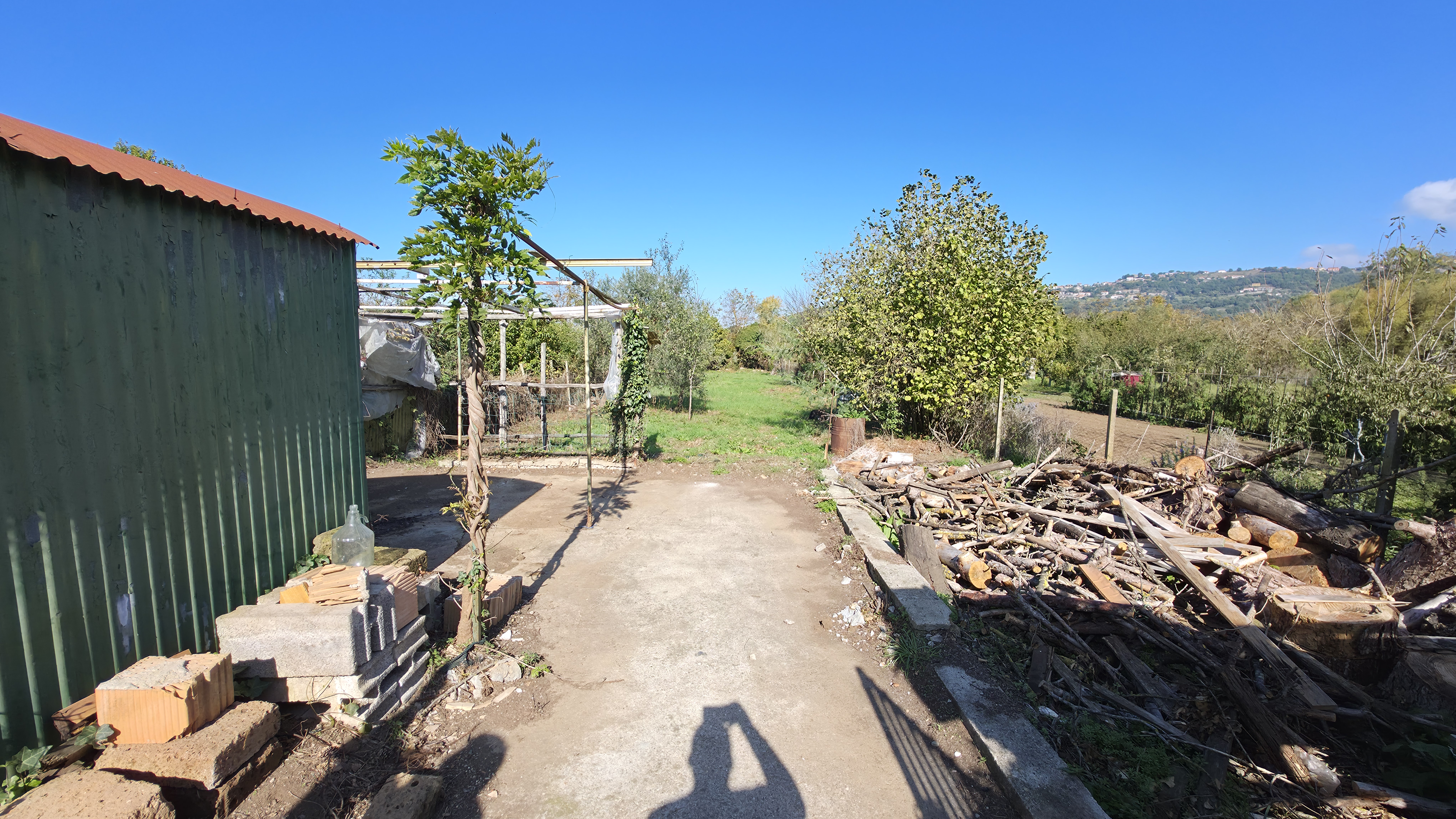 Agricultural land in Montefiascone